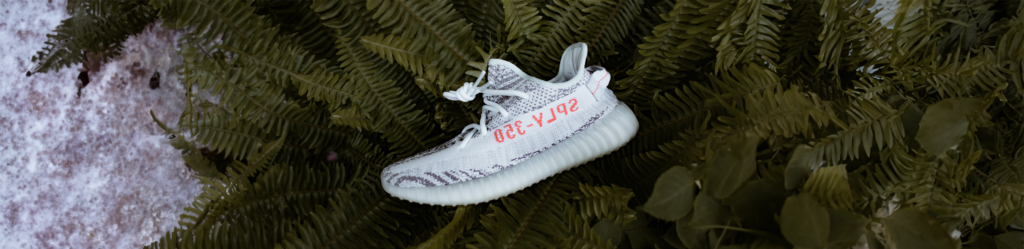 Een witte Yeezy met rode letters op de zijkant wat uitspelt: "SPLY-350', een Yeezy Zebra liggend op een groene plant.